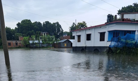 অল্প বৃষ্টিতেই কালীগঞ্জ পৌর এলাকায় জলাবদ্ধতা