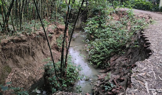 কালীগঞ্জে খালে গিলে খাচ্ছে রাস্তা, ১১ গ্রামের মানুষের দুর্ভোগ