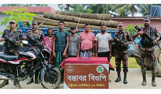 ধামইরহাটে বন বিভাগের চোরাই গাছসহ ৫ আটক