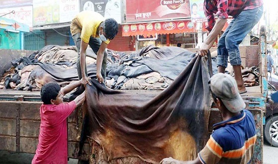 এবার পশুর চামড়ার সরবারহ কম, বিক্রি হচ্ছেনা ছাগলের চামড়া