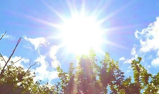 তাপপ্রবাহ নিয়ে দুঃসংবাদ দিল আবহাওয়া অধিদপ্তর