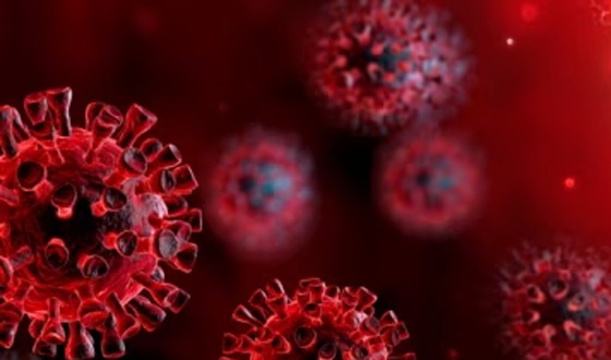 ভারতে করোনায় আক্রান্ত সাত হাজার ছাড়াল, নতুন করে মৃত্যু ৬