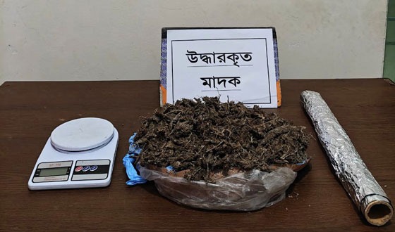 চাঁদপুরে গাঁজা এবং গাঁজা পরিমাপক যন্ত্র উদ্ধার