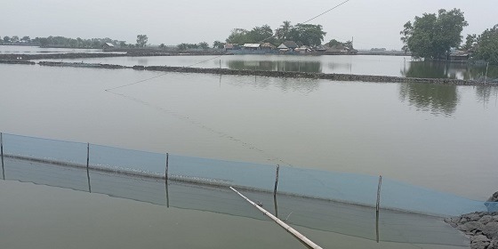 সরকারি খালে বাঁধ দিয়ে মাছ চাষ, জলাবদ্ধতার আশঙ্কা