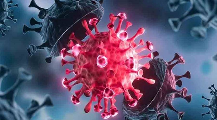 ২৪ ঘণ্টায় করোনায় আক্রান্ত ২১ জন