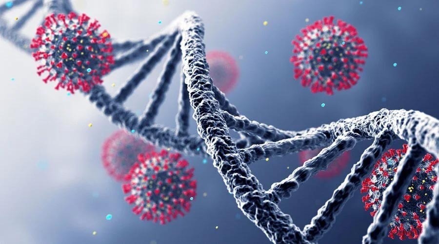 ২৪ ঘণ্টায় করোনায় মৃত্যু নেই, আক্রান্তের সংখ্যা অল্প হলেও বাড়ছে