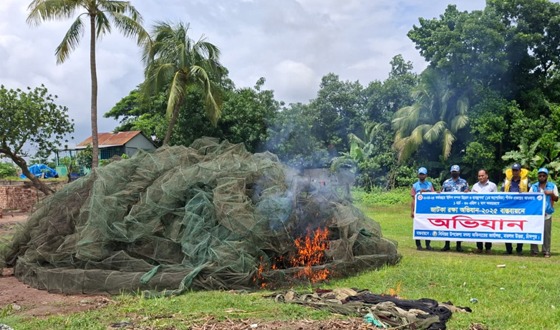 মতলবে ৩৫৫ টি চায়না দুয়ারী চাইসহ জাল জব্দ
