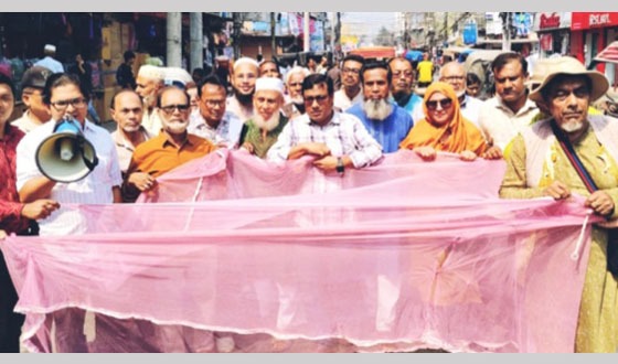 খুলনায় মশা থেকে বাঁচতে 'মশারি' মিছিল