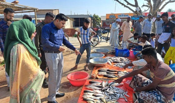 পোরশায় ইউএনও কতৃক নিত্য প্রয়োজনীয় দ্রব্যের বাজার মনিটরিং