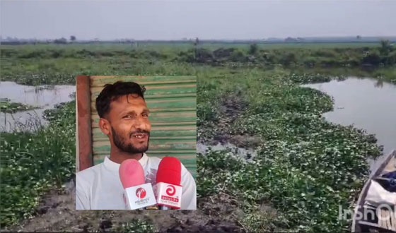 মোল্লাহাটের ইউপি সদস্যর বিরুদ্ধে অবৈধ দখলদারিত্বের অভিযোগ