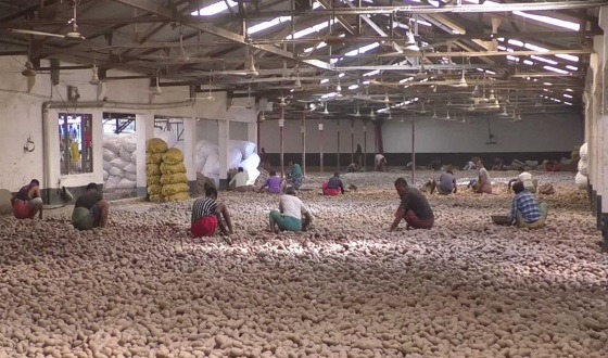 হিমাগারে আলু সংরক্ষণে নতুন খরচ, কেজি প্রতি ৬.৭৫ টাকা