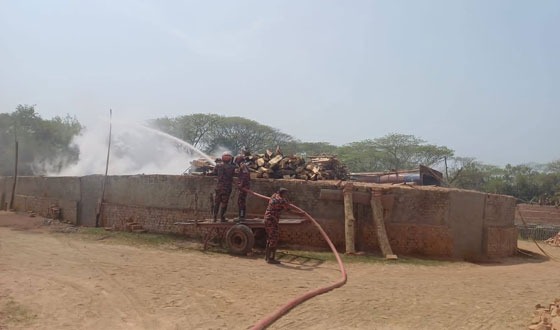 বাবুগঞ্জে অবৈধ ইট ভাটার বিরুদ্ধে উপজেলা প্রশাসনের অভিযান