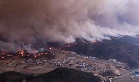 দক্ষিণ কোরিয়ায় ভয়াবহ দাবানল: নিহতের সংখ্যা ২৭, সংকটে হাজারো মানুষ