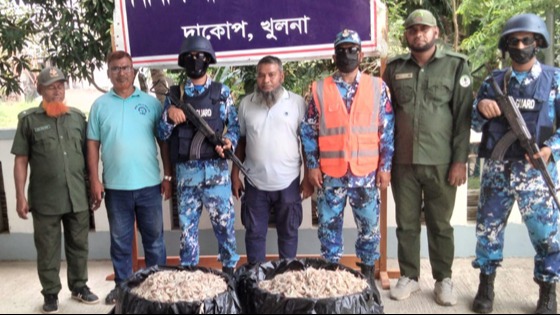 সুন্দরবনের বিষ প্রয়োগ করা ১৫০ কেজি চিংড়ি জব্দ