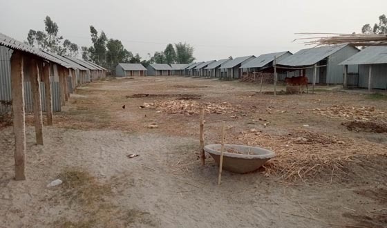 বকশিগঞ্জের কোটি টাকার আশ্রয়ন প্রকল্প এখন গোচারণ ভূমি