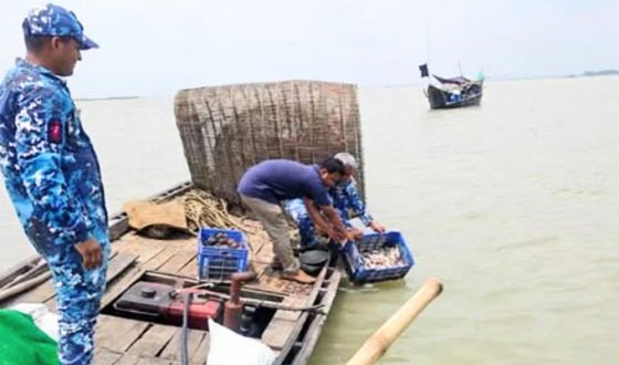 মেঘনায় পাঙ্গাসের পোনা নিধন, ৩৫০ চায়না দুয়ারি জাল জব্দ