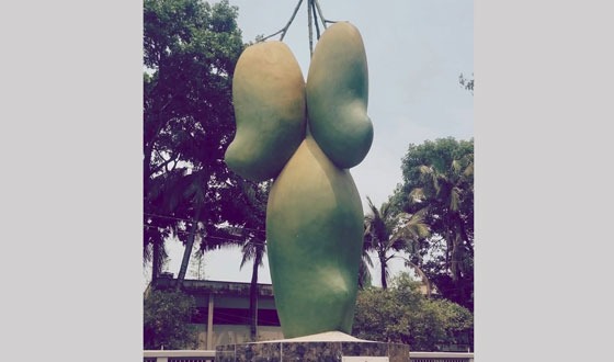 সাপাহারে আম মৌসুমে যানজট নিরসনে বিশেষ নির্দেশনা জারি