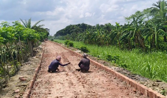কালীগঞ্জে সড়ক নির্মাণে অনিয়ম