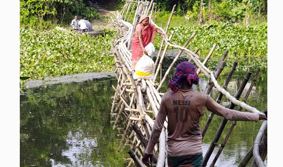 মহেশপুরের ইছামতী নদীতে বাঁশের সাঁকো দিয়ে পারাপার