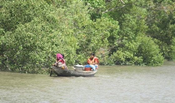 ৩ মাস সুন্দরবনে বনজীবি-পর্যটক প্রবেশে নিষেধাজ্ঞা