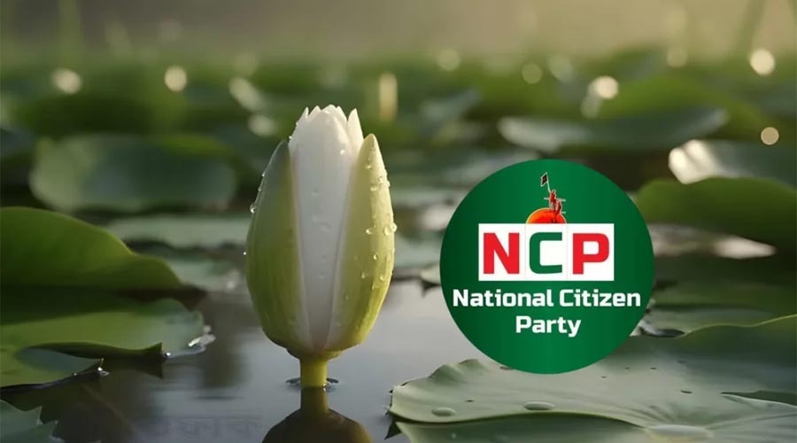 ‘শাপলা কলি’ প্রতীকেই নির্বাচনে যাচ্ছে এনসিপি