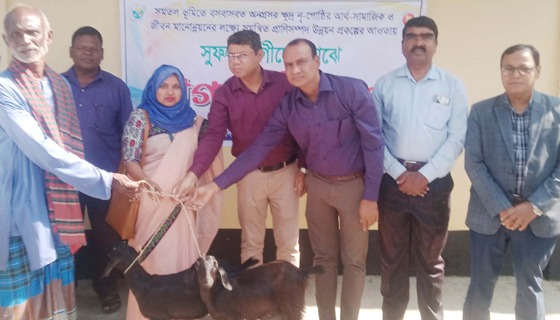 বাগেরহাটে শেখ হাসিনার ফাঁসির দাবিতে বিক্ষোভ মিছিল-সমাবেশ