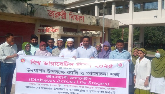সুন্দরগঞ্জে ডায়াবেটিস দিবসের আলোচনা ও র‌্যালি