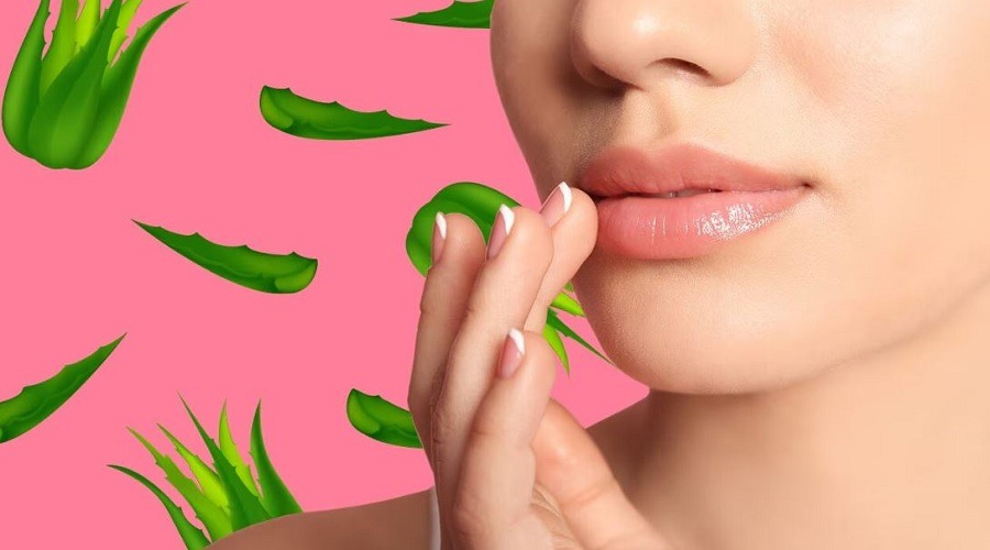 শীতে ঠোঁট ভালো রাখার দারুণ কিছু ঘরোয়া উপায়