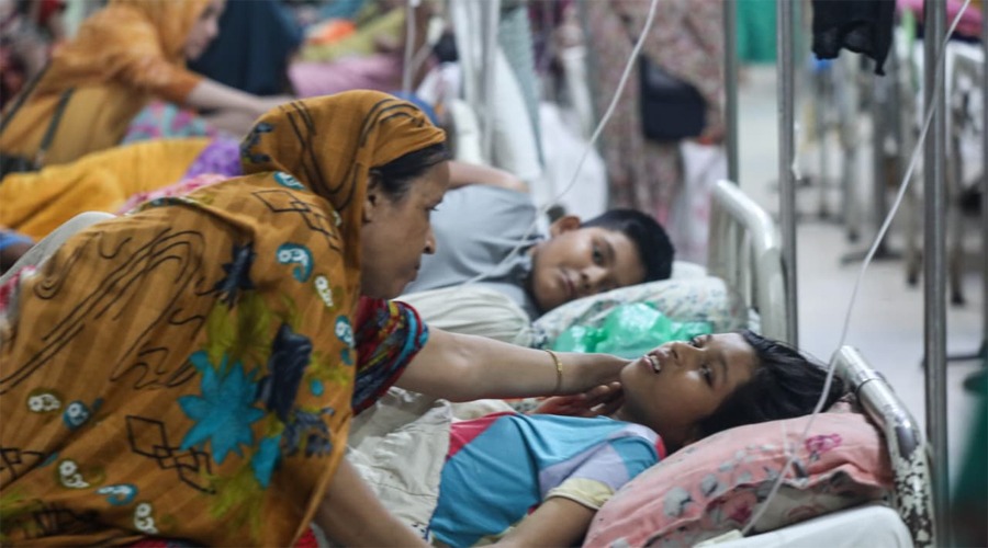 ডেঙ্গুতে একদিনে ৭ জনের মৃত্যু, হাসপাতালে ভর্তি অনেকে