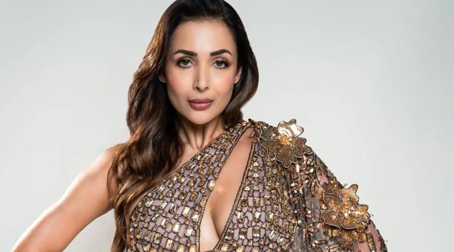 আবারও মালাইকার প্রেমের গুঞ্জন