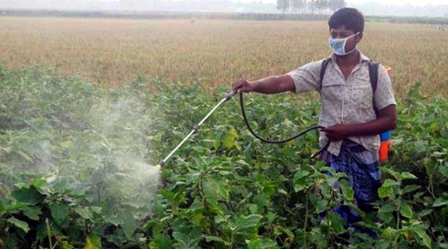 কীটনাশকের ব্যবহার বাড়লেও আমদানি নির্ভরতায় বাড়ছে কৃষিপণ্যের উৎপাদন ব্যয়