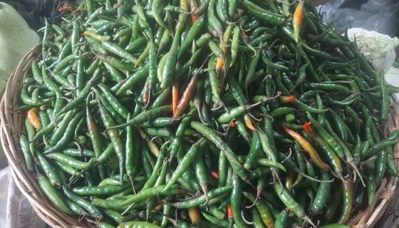 কাঁচামরিচের দাম ১০০ টাকা কমেছে