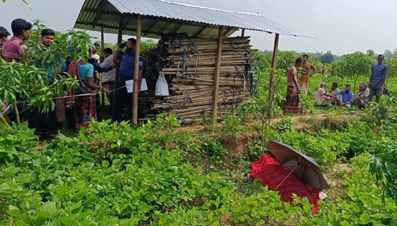 পোরশায় নিখোঁজ কন্যা শিশুর লাশ উদ্ধার