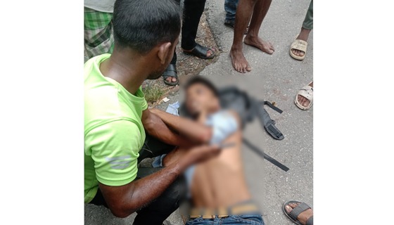 বাবুগঞ্জে সড়ক দুর্ঘটনায় পথচারী নিহত