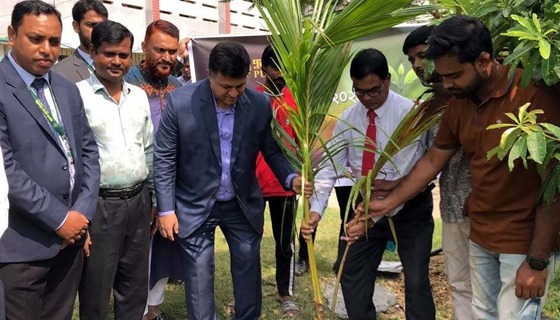 সাপাহার সরকারী কলেজ সহ বিভিন্ন শিক্ষা প্রতিষ্ঠানে বৃক্ষরোপন