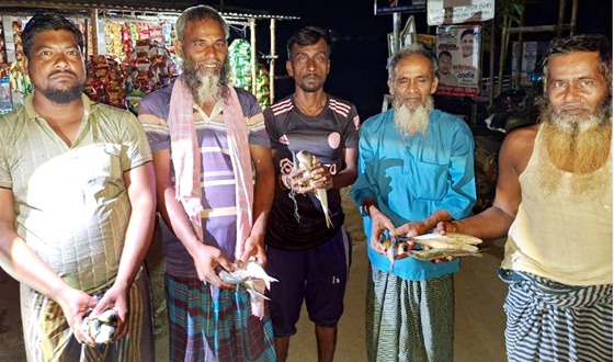 চরভদ্রাসনে অভিযানের আটক ইলিশ দুস্থরা পেয়ে বেজায় খুশি