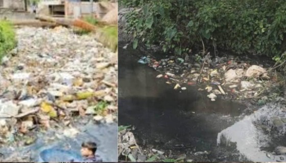 হালদার পানি দুষিত হচ্ছে বিষাক্ত বর্জ্যে