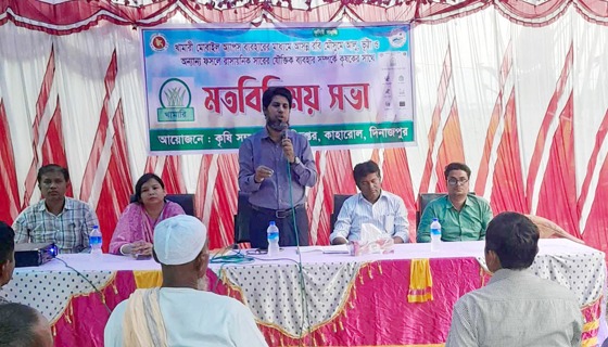 কাহারোলে কৃষকদের সাথে কৃষি বিভাগের সভা