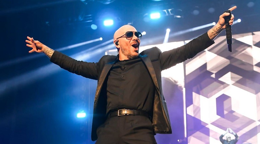 ভারতে আসছেন পিটবুল