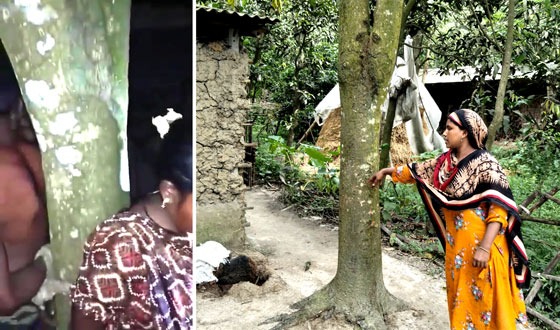 মহাদেবপুরে গাছে বেঁধে নির্যাতনের ভিডিও ভাইরাল, গৃহবধূর আত্মহত্যা