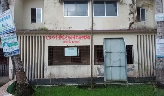 মোল্লাহাটে প্রবাসীর স্ত্রীর ওপর নৃশংস নির্যাতন