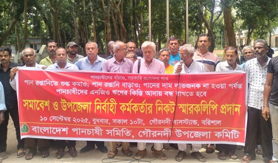 রপ্তানি মূল্য বৃদ্ধির কারণে বিদেশে যাচ্ছেনা পান