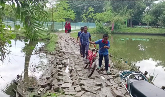 দেবহাটার নওয়াপাড়া সরকারি প্রাথমিক বিদ্যালয়ের রাস্তার বেহাল দশা