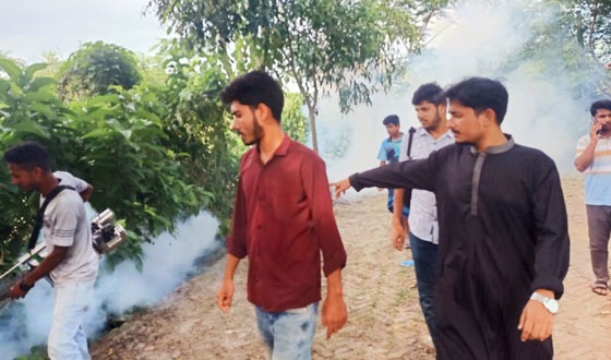 ডেঙ্গু এড়াতে ববিতে মশা নিধন কার্যক্রম