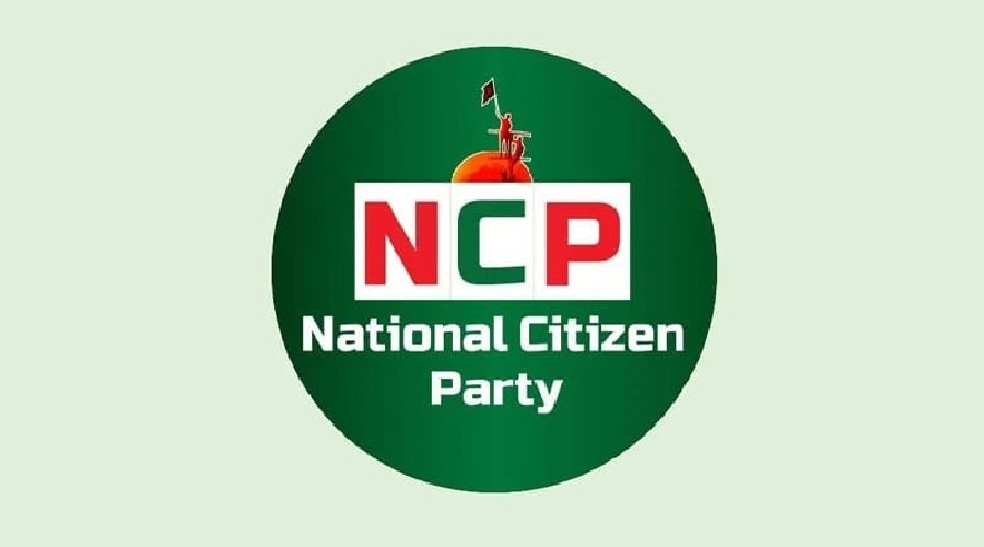 শাপলা প্রতীক বরাদ্দে অনড় এনসিপি, আবারও আবেদন ইসিতে