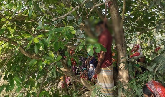 সাঁথিয়ায় ঋণের চাপে দিনমজুরের আত্মহত্যা