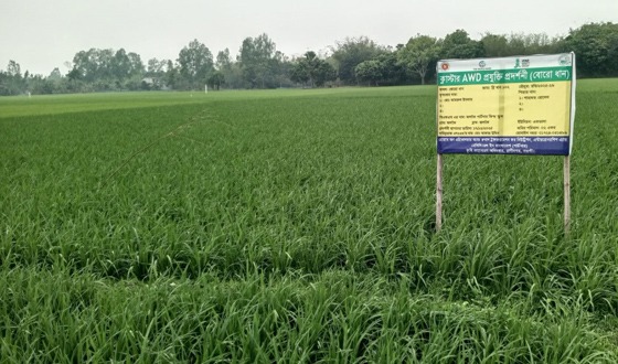 অবহেলায় ভেস্তে গেছে ক্লাস্টার এডব্লিউডি প্রযুক্তি প্রদর্শনী প্রকল্প