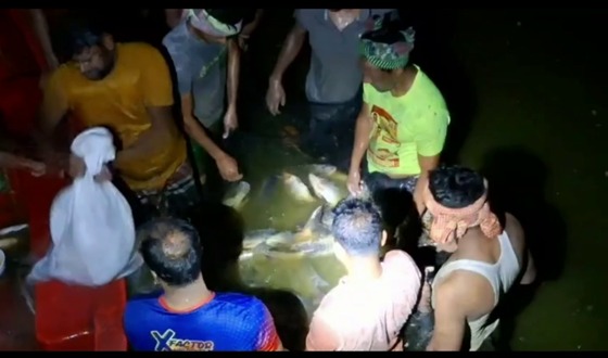 দিঘীতে মাছ ধরায় ২ সহকারী কমিশনারের উপস্থিতি নিয়ে তোলপাড়