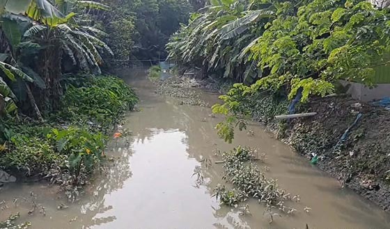 তালতলীতে অস্তিত্ব সংকটে ৭১ খাল, বিপাকে কৃষক