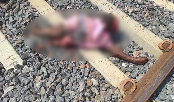 লোহাগড়ায় ট্রেনে কাটা পড়ে নিহত ১